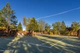 16829 Basalt Dr - Photo 52