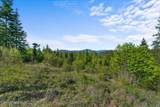 NKA Mutch Creek Road - Photo 15