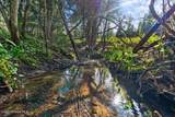 NKA Mutch Creek Road - Photo 2