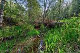 NKA Mutch Creek Road - Photo 20