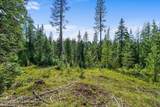 NKA Mutch Creek Road - Photo 23