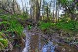 NKA Mutch Creek Road - Photo 3