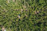 1438 Rolling Thunder Ridge Rd - Photo 28
