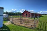 379 French Rd - Photo 52
