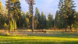 432 Pintail Dr - Photo 40