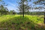 778 Mountain Meadows Rd - Photo 7