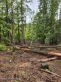 NKA Middle Fork Santa Creek - Photo 3