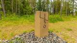 1230 Amulet Cir - Photo 72