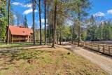 6045 Upper Pack River Rd - Photo 5