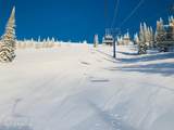 495 Northwest Passage - Photo 35
