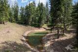 NKA Riverview Dr - Photo 37