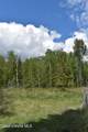 205 Beaver Creek - Photo 19