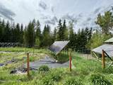 1155 Gold Creek Ridge Rd - Photo 33