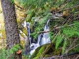 1155 Gold Creek Ridge Rd - Photo 35