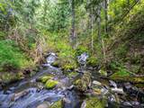 1155 Gold Creek Ridge Rd - Photo 36