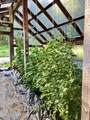 1155 Gold Creek Ridge Rd - Photo 40