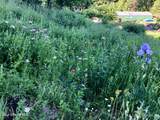 1155 Gold Creek Ridge Rd - Photo 43
