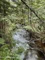 1155 Gold Creek Ridge Rd - Photo 46