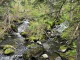 1155 Gold Creek Ridge Rd - Photo 47