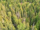 1155 Gold Creek Ridge Rd - Photo 48
