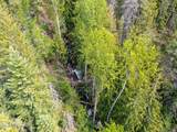 1155 Gold Creek Ridge Rd - Photo 49