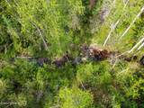 1155 Gold Creek Ridge Rd - Photo 50