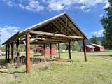 3216 Dufort Rd - Photo 45