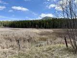 3216 Dufort Rd - Photo 63