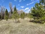 3216 Dufort Rd - Photo 64