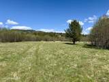 3216 Dufort Rd - Photo 69