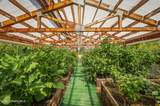 88 Fenway Dr/Nordic Sky - Photo 42