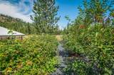 88 Fenway Dr/Nordic Sky - Photo 43