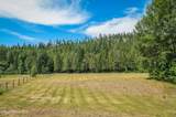 88 Fenway Dr/Nordic Sky - Photo 49
