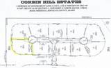 23815 Rapalla Ct. - Photo 44