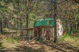 27294 Clagstone Rd - Photo 39