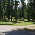 2318 St Maries Ave - Photo 11