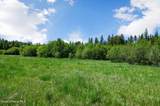 2902 Jewel Lake Rd - Photo 44