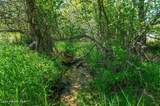 2902 Jewel Lake Rd - Photo 48