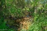 2902 Jewel Lake Rd - Photo 49