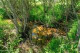 2902 Jewel Lake Rd - Photo 5