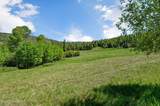 2902 Jewel Lake Rd - Photo 59