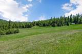 2902 Jewel Lake Rd - Photo 60