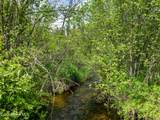 435 Shady Pines Loop - Photo 7