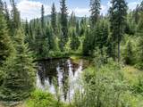 435 Shady Pines Loop - Photo 73