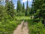 435 Shady Pines Loop - Photo 74