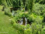 435 Shady Pines Loop - Photo 8