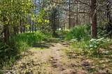 490 Samuels Rd - Photo 53