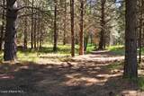 490 Samuels Rd - Photo 60