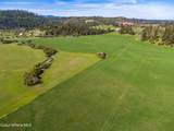 1101 Ruby Creek Rd - Photo 10