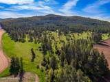 1101 Ruby Creek Rd - Photo 13